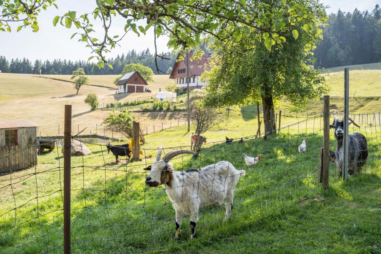 Klausenhansenhof Wolfach Dış mekan fotoğraf